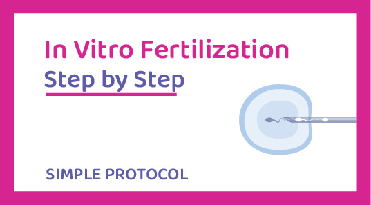 Timeline In Vitro Fertilization